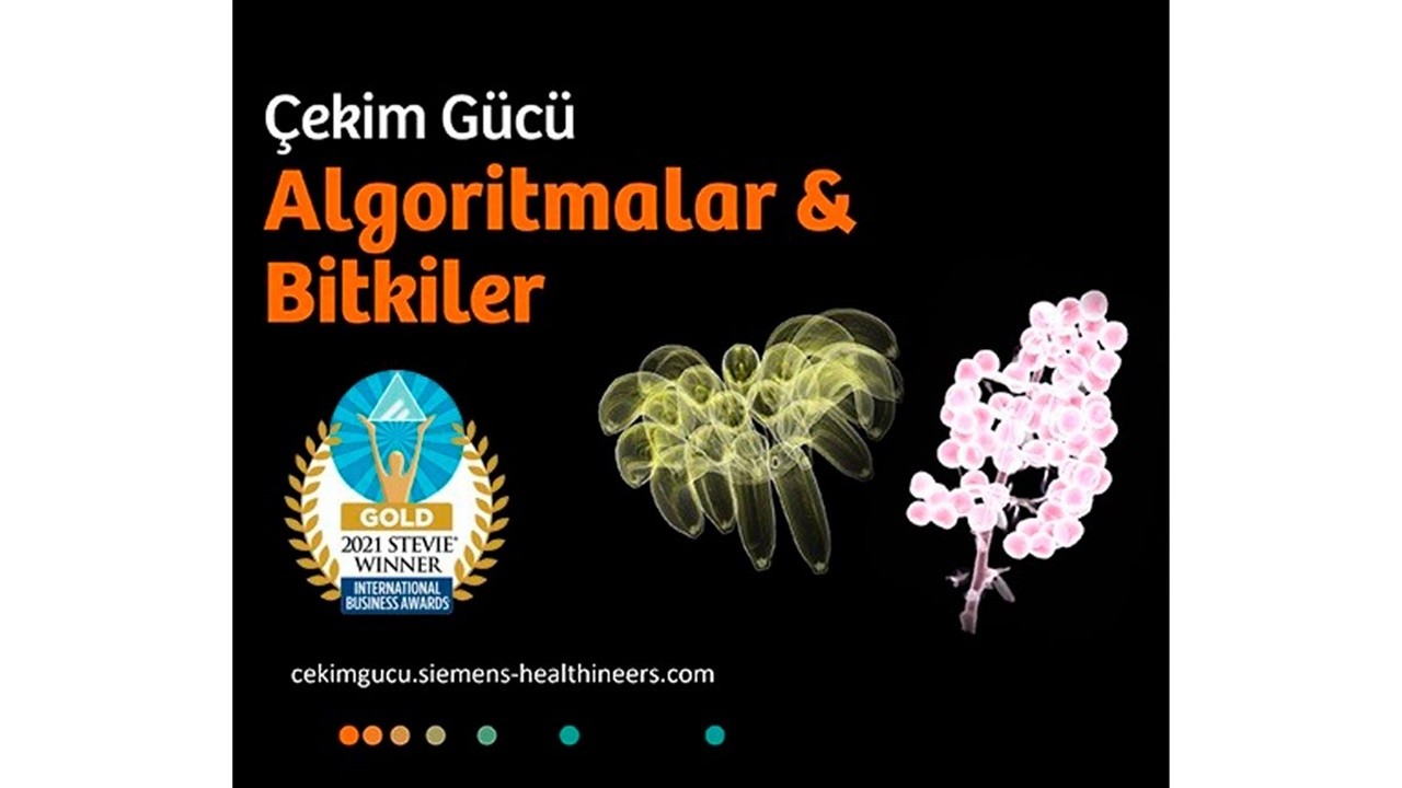 Algoritmalar ve Bitkiler Sergisi, Stevie Uluslararası İş Ödülleri&#039;nde altın ödül kazandı