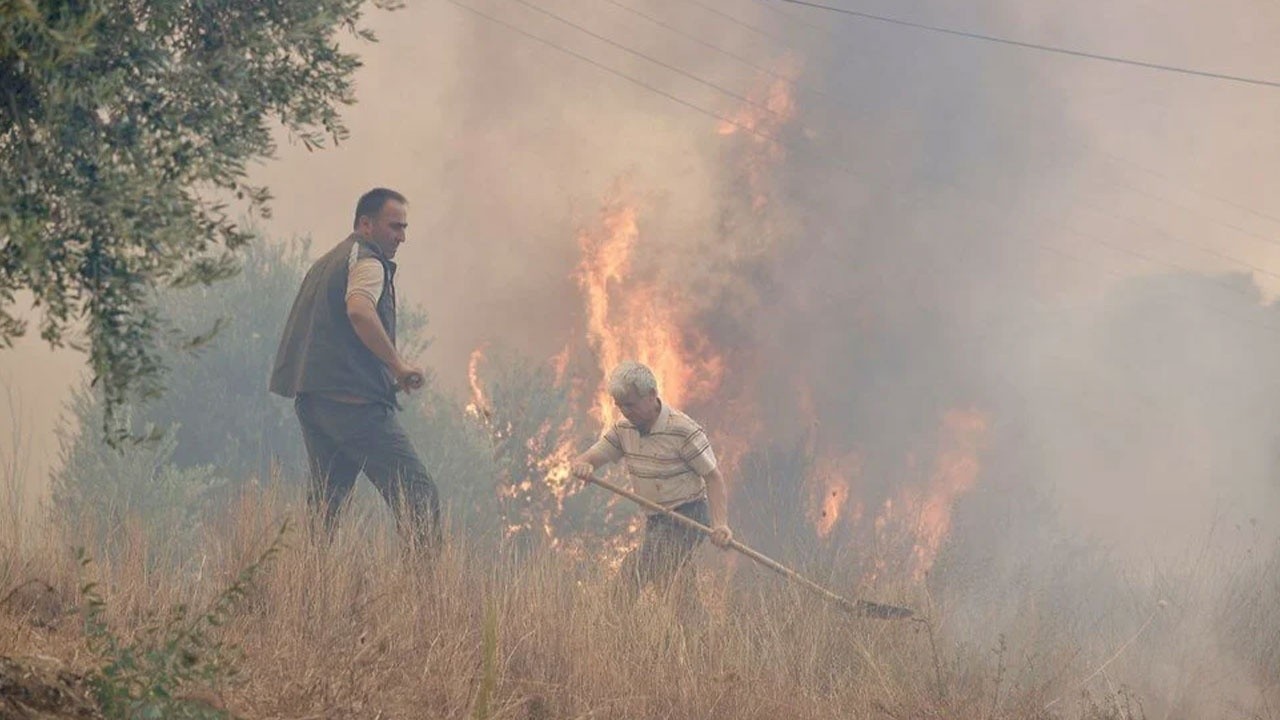 Antalya Manavgat&#039;ta yangın yeniden başladı