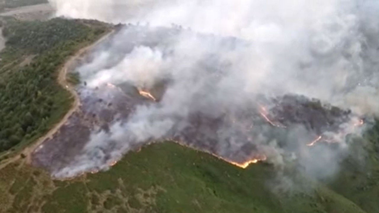 Azerbaycan&#039;da ormanlık alanda yangın çıktı