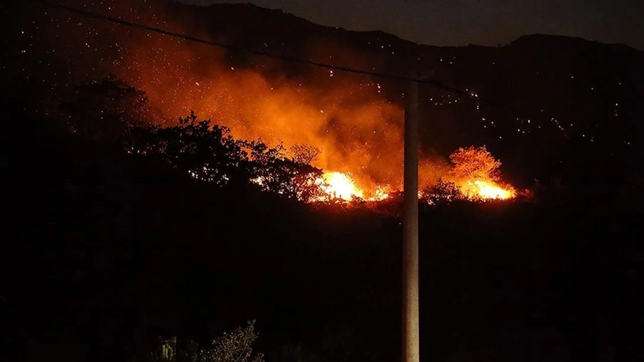 Bodrum&#039;daki makilik ve otluk yangını kontrol altında alındı