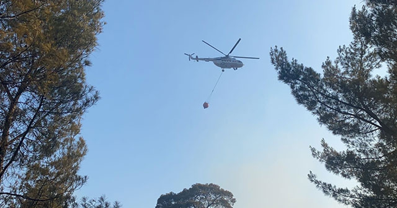 Çanakkale ve Muğla&#039;da orman yangını