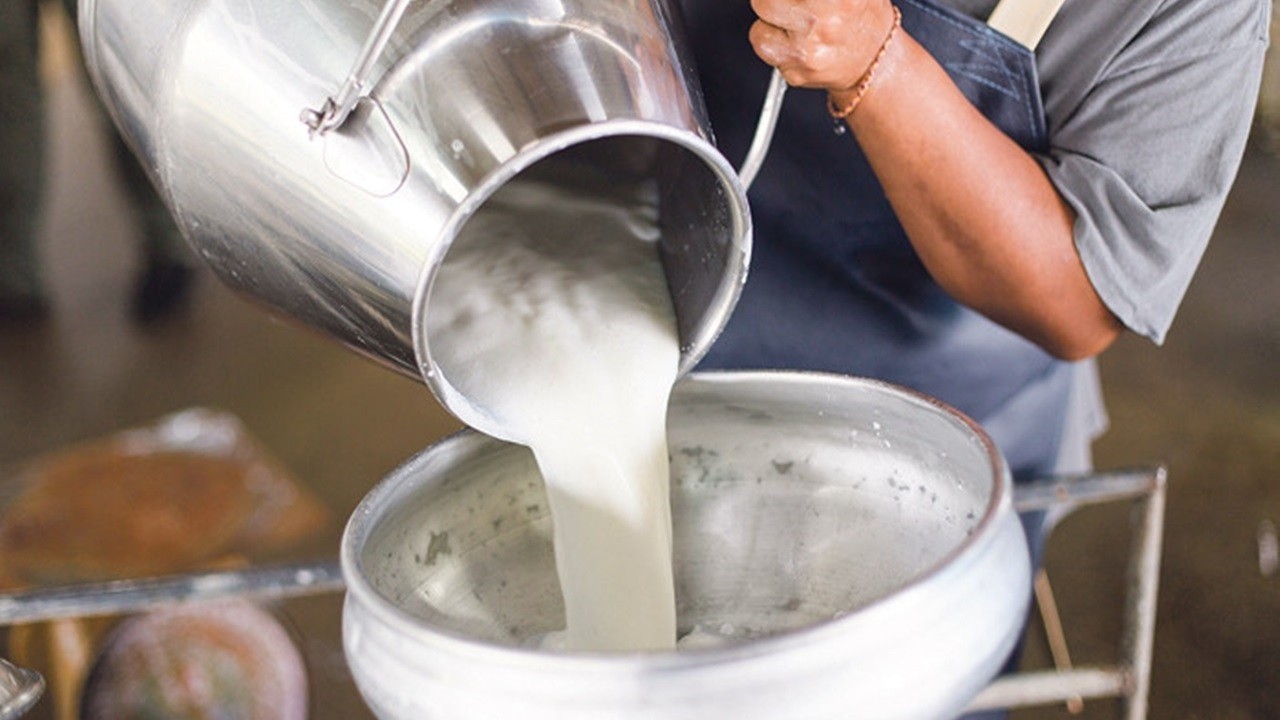 Çiğ süt desteğinde fatura düzenlemesi