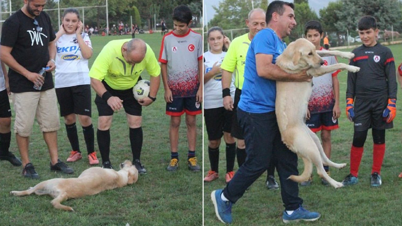 Davetsiz misafir sahaya girdi, maçı başlatmadı