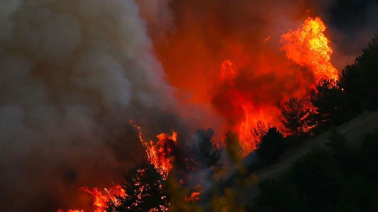 Eski Orman Genel Müdürü Abdurrahman Sağkaya: Yangınlar planlı bir şekilde çıkarıldı