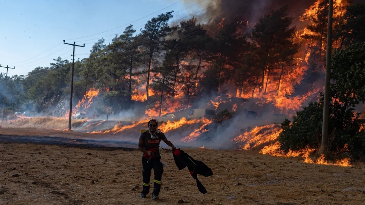 Güney Kore&#039;den Türkiye için fidan bağış kampanyası