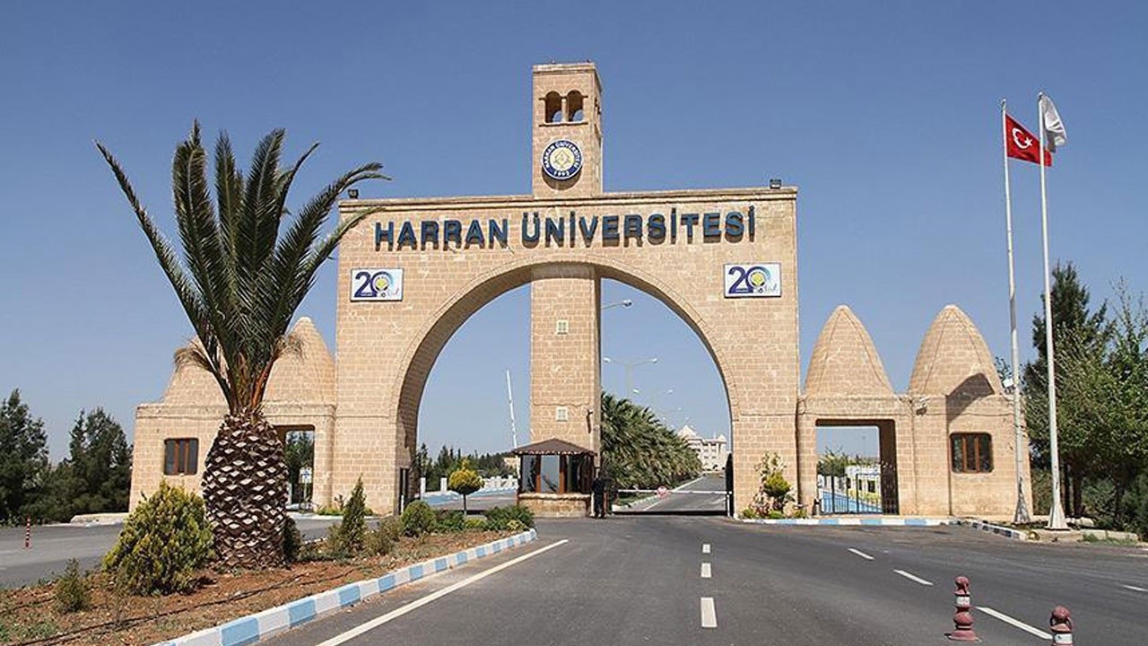 Harran Üniversitesi Uluslararası Ticaret ve Lojistik Bölümü&#039;nü tercih edenlere burs veriyor