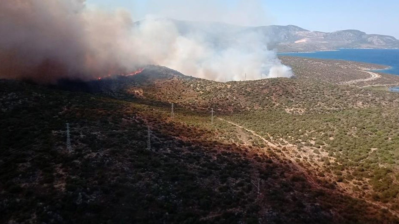 İzmir&#039;de orman yangını: 3 uçak ve 1 helikopterle müdahale ediliyor