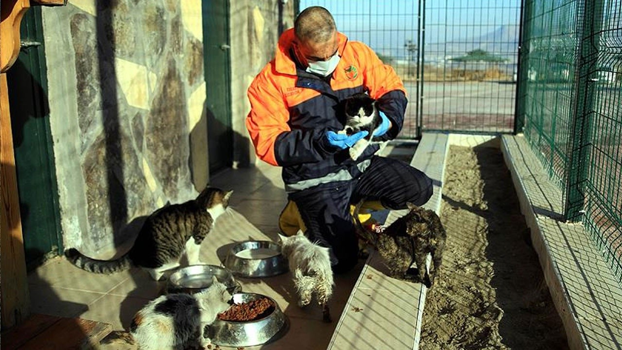 Köpeği traktöre bağlayıp yerde sürükleyen şüpheliye hakimden ders gibi ceza