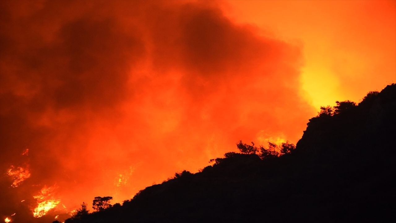 Muğla Bodrum Milas Köyceğiz orman yangınlarında son durum! Muğla orman yangınları kaçıncı gününde?