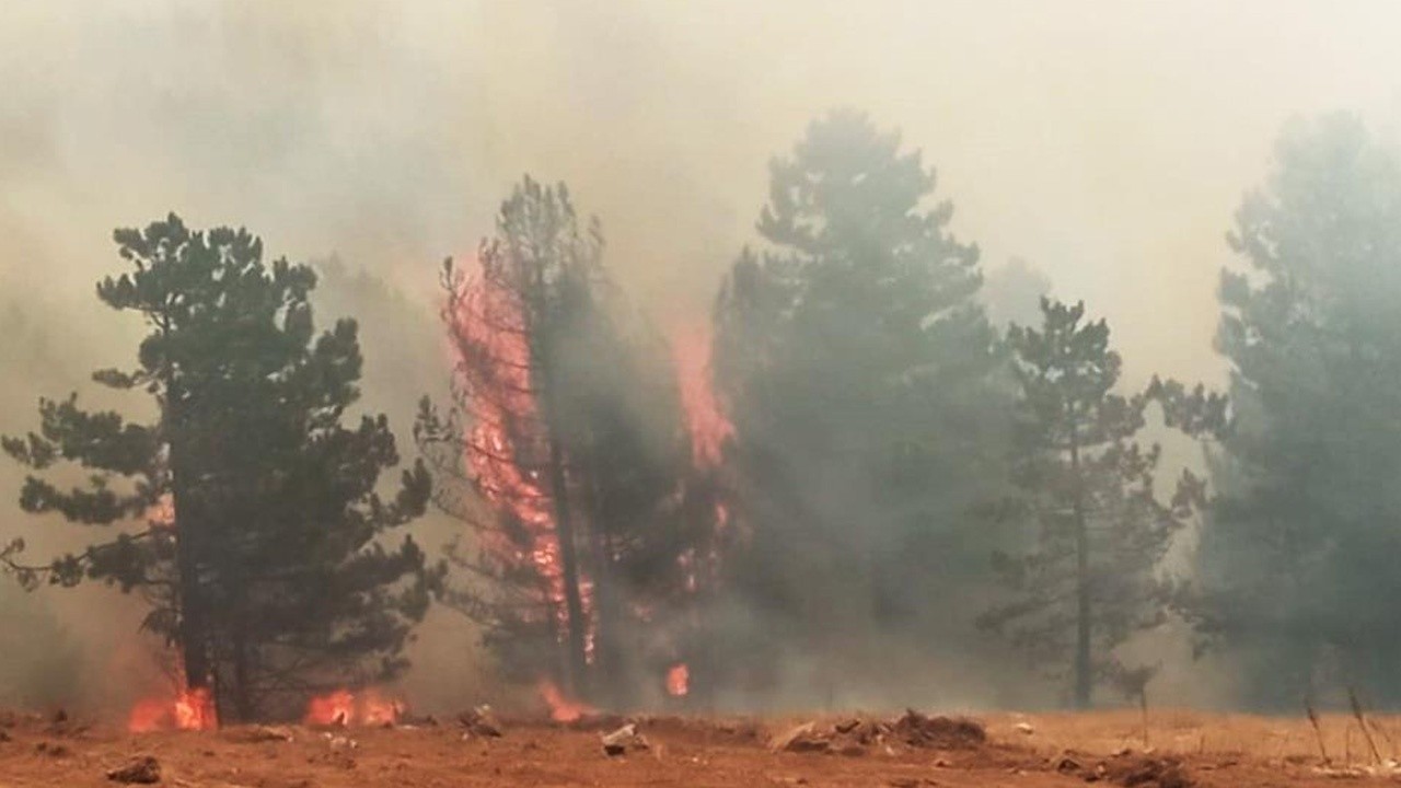 Muğla&#039;da orman yangını: Köyceğiz&#039;de 5 mahalle tahliye edildi