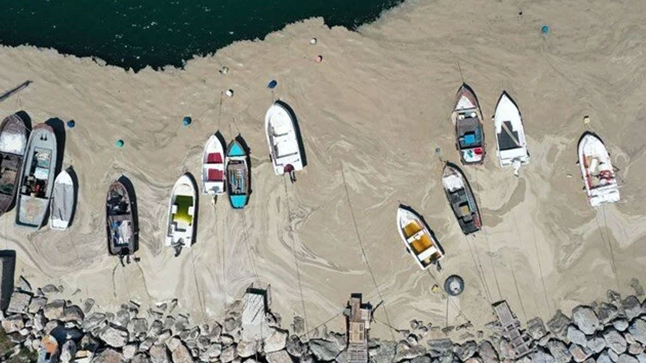 Müsilaj uyarısı: Marmara Denizi ölüyor, zaman yok