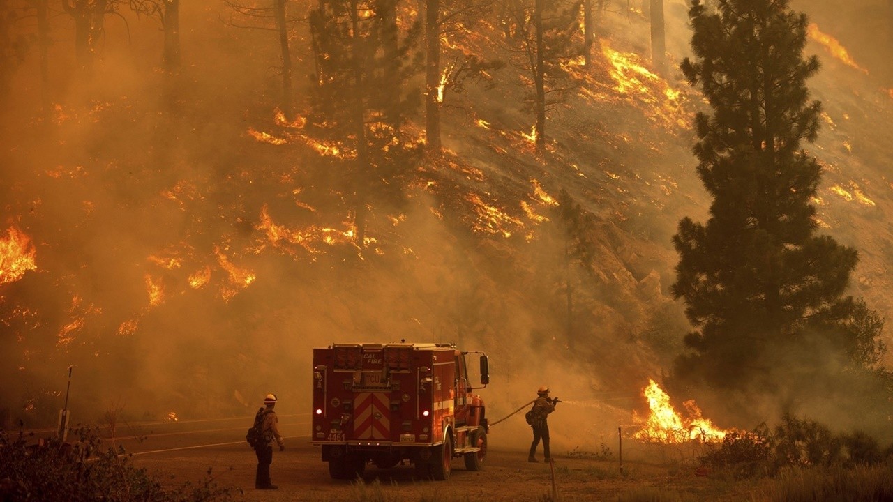 Orman yangınları vaka sayısını artırıyor