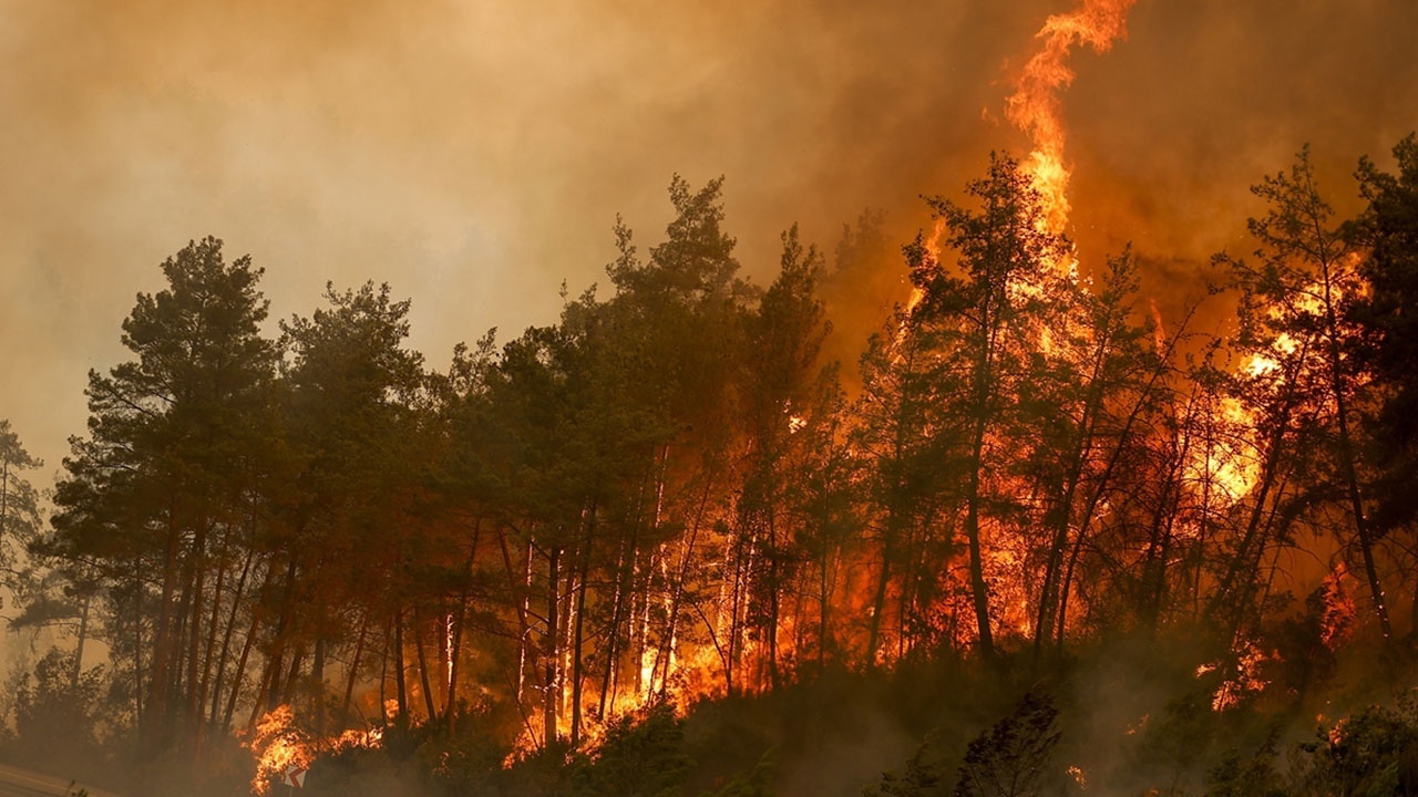Orman yangınlarında son durum: 140 noktada alevler kontrol altında