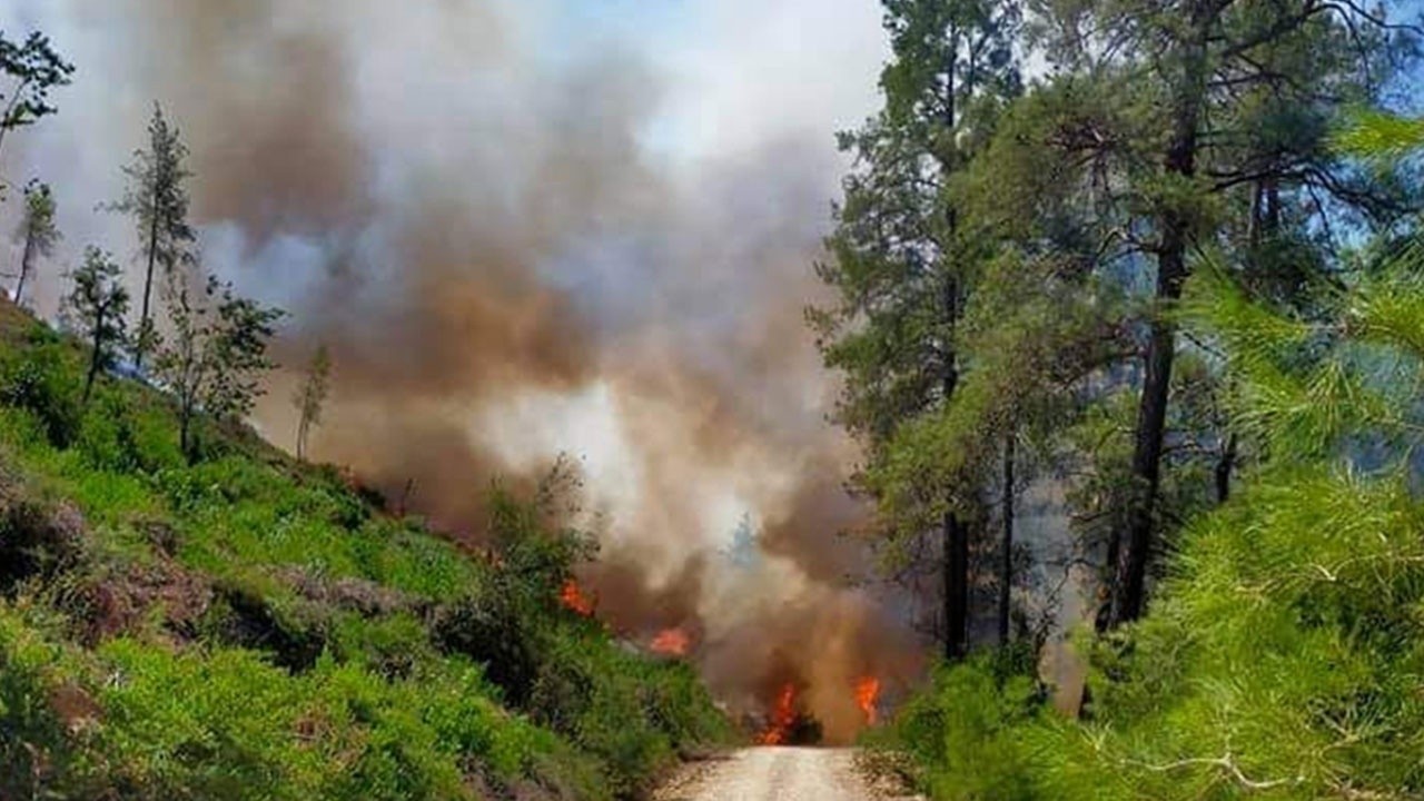 Orman yangınlarında son durum: Bucak yangını tehlikeli