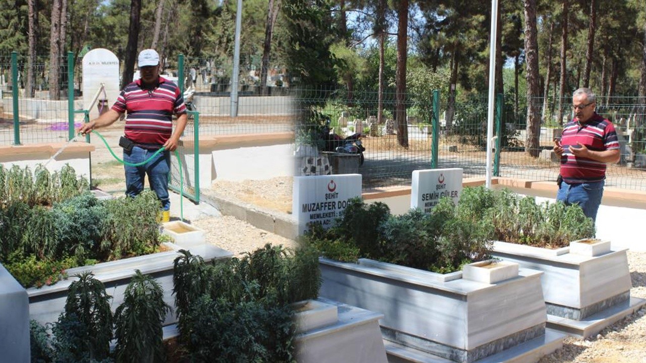 Şehit mezarlarına gönüllü bakım yapıyor, nöbet tutuyor: Ömrüm yettiği sürece bekçisi olacağım