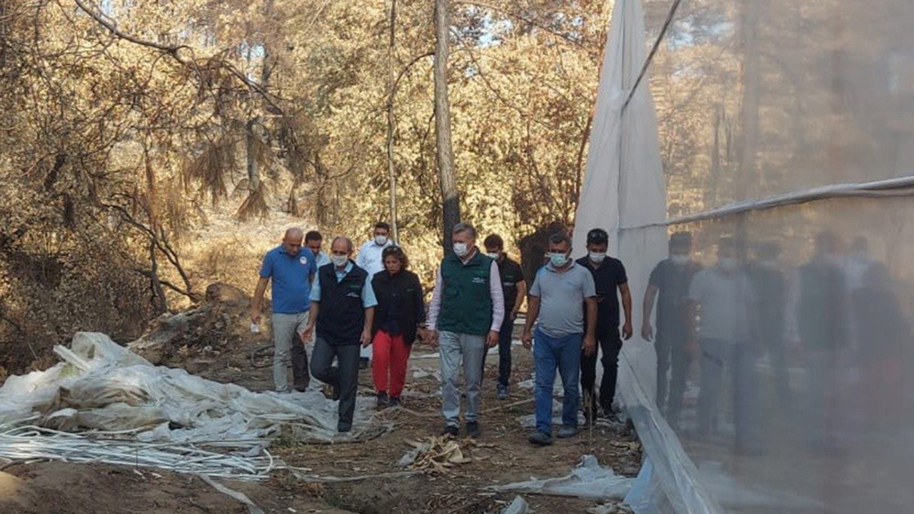 TARSİM&#039;den Mersin, Antalya ve Muğla&#039;ya ziyaret