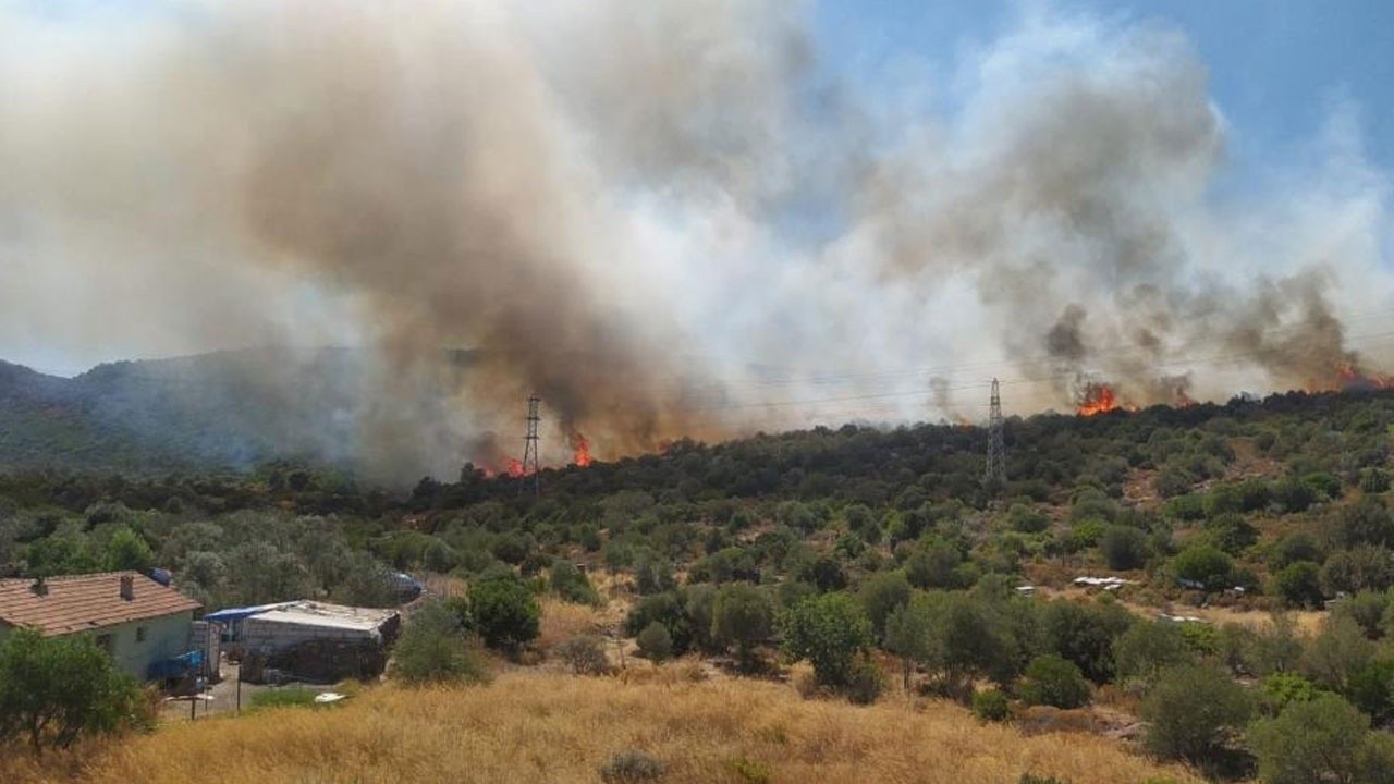 İzmir&#039;de iki ayrı bölgede orman yangını