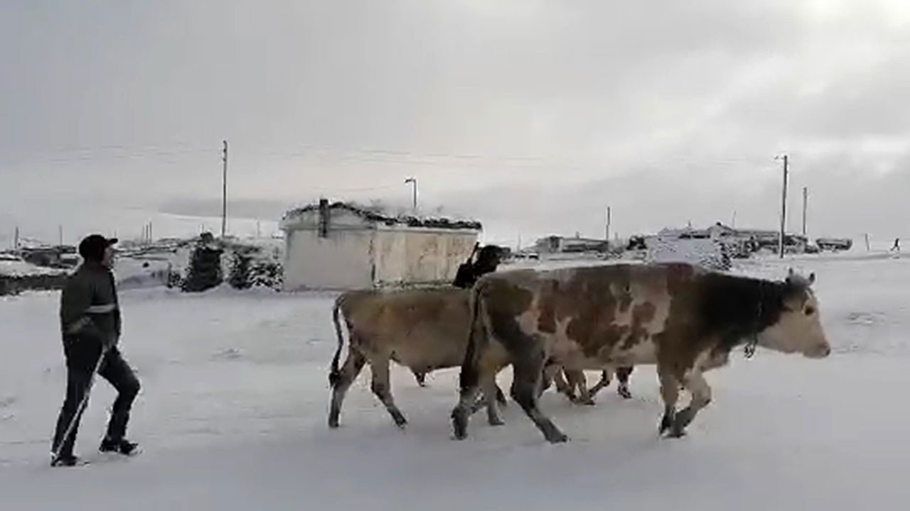 Erken gelen kış yaylacıların köye dönüşünü hızlandırdı