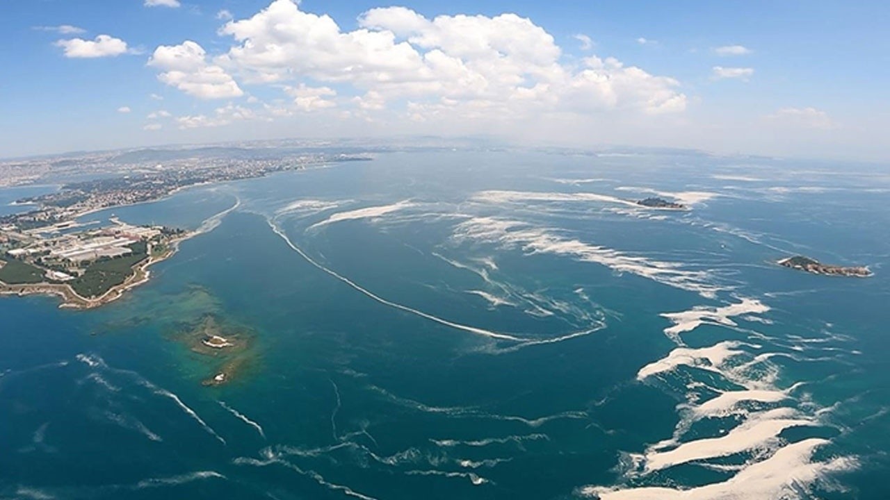 Marmara Denizi&#039;nde yeni tehlike: Oksijen azlığı