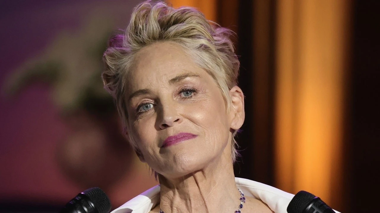 Sharon Stone&#039;un hayatı kaybeden küçük yeğeni üç kişiye umut oldu