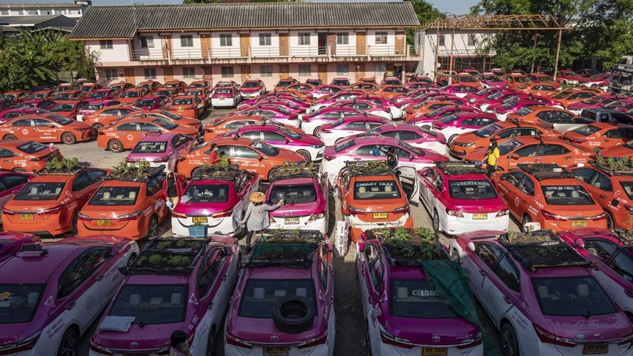 Tayland’da iş yapamayan taksiler sebze bahçesine döndü