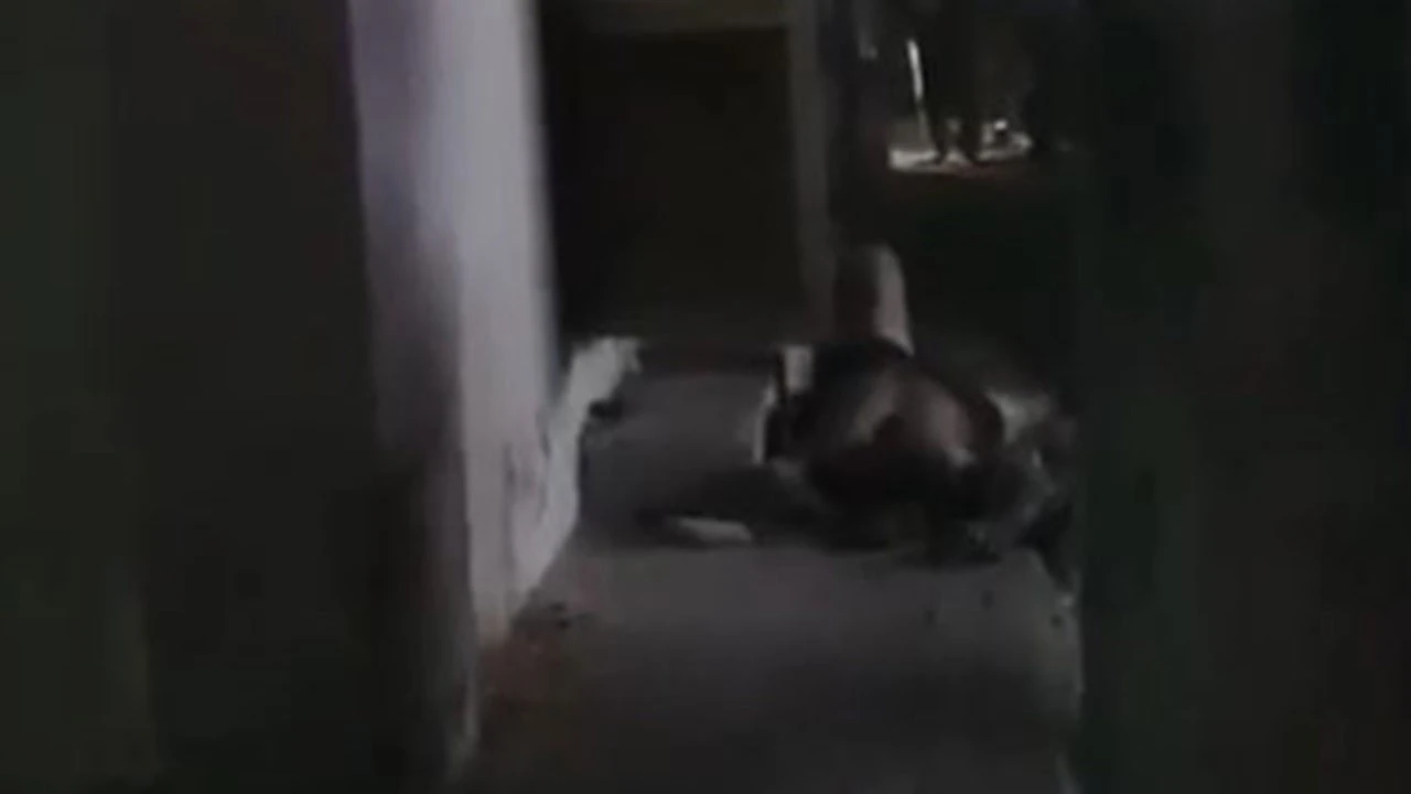 Trafonun kablolarını çalmak isterken küle döndüler