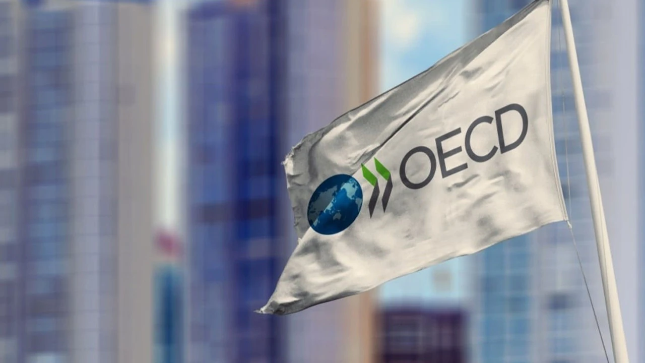 Türkiye'nin OECD başarısı: En yüksek oranda büyüyen ikinci ülke