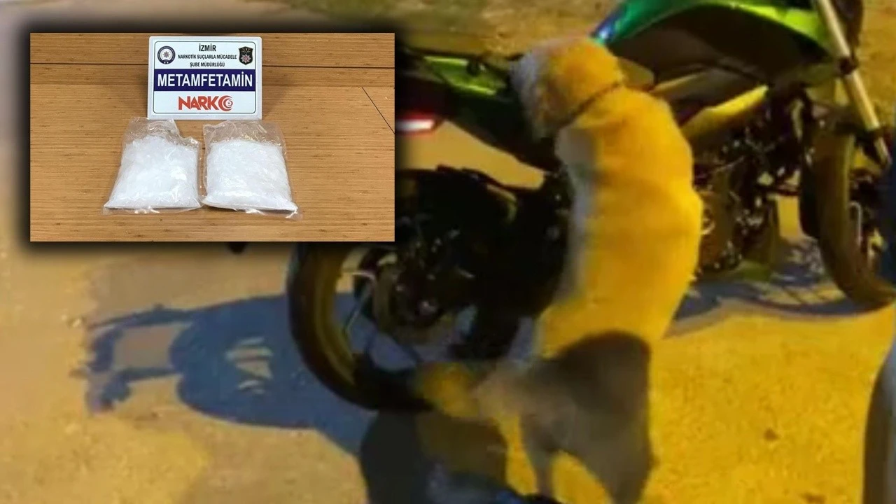 Zehir tacirini narkotip köpeği engelledi