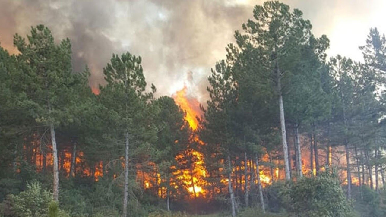 Antalya&#039;da korkutan orman yangını! Müdahale ediliyor