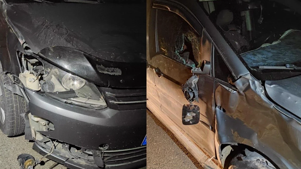 Batman'da inek ana yola atladı, 7 araç perte çıktı
