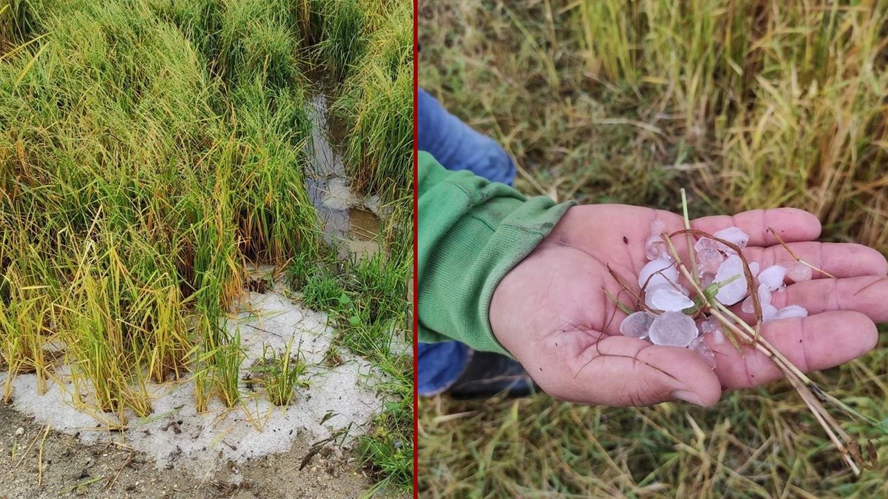 Edirne'de ceviz büyüklüğünde dolu kabusu! Tenteyi ve masayı delip geçti