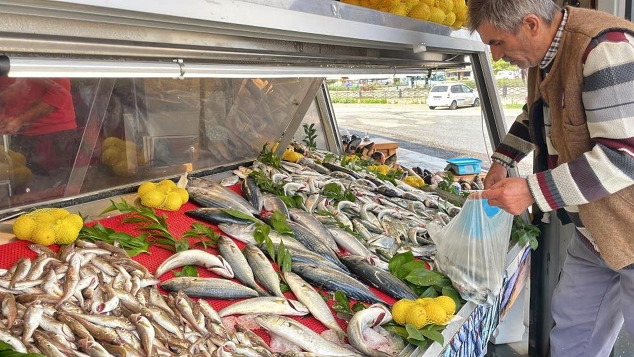 Hamsi, yerini palamuda bıraktı: Fiyatlar yarı yarıya düştü