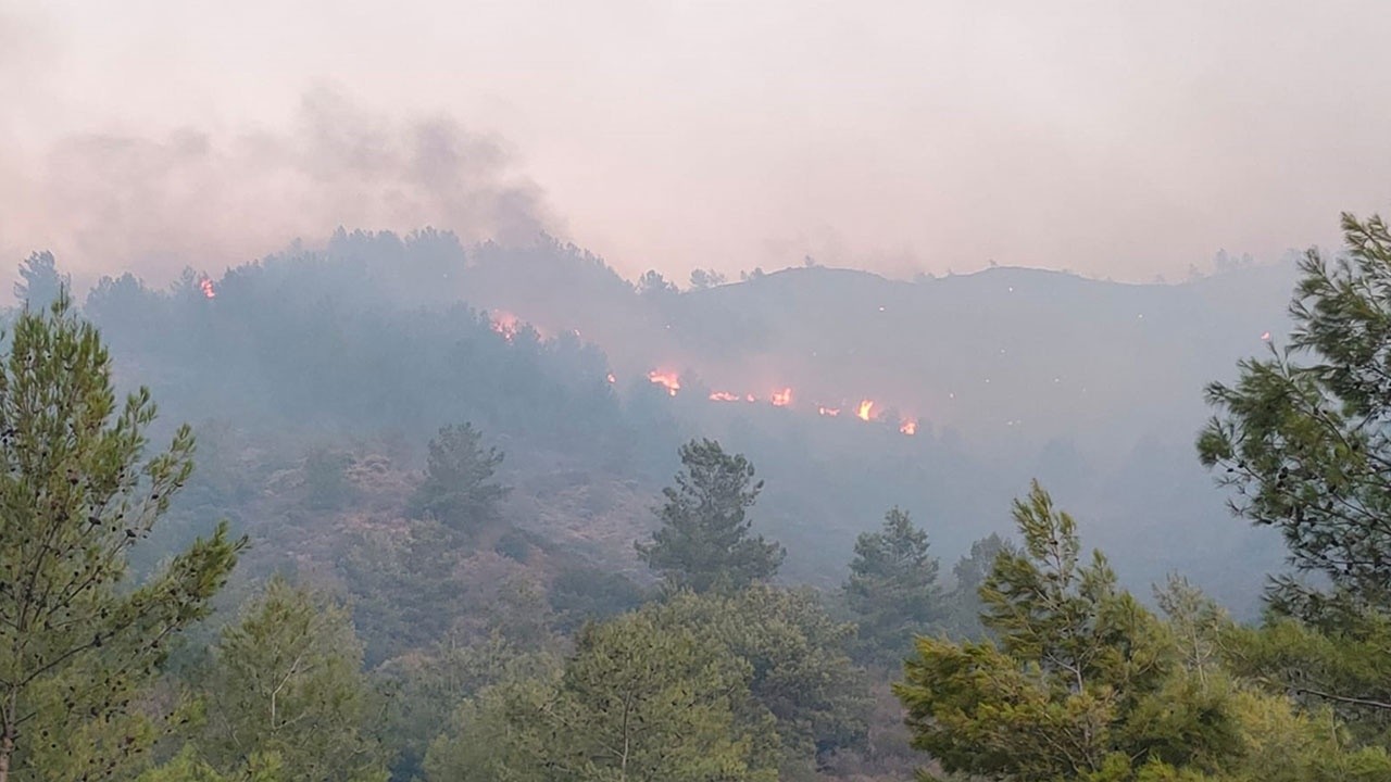 Muğla&#039;daki orman yangını kontrol altına alındı