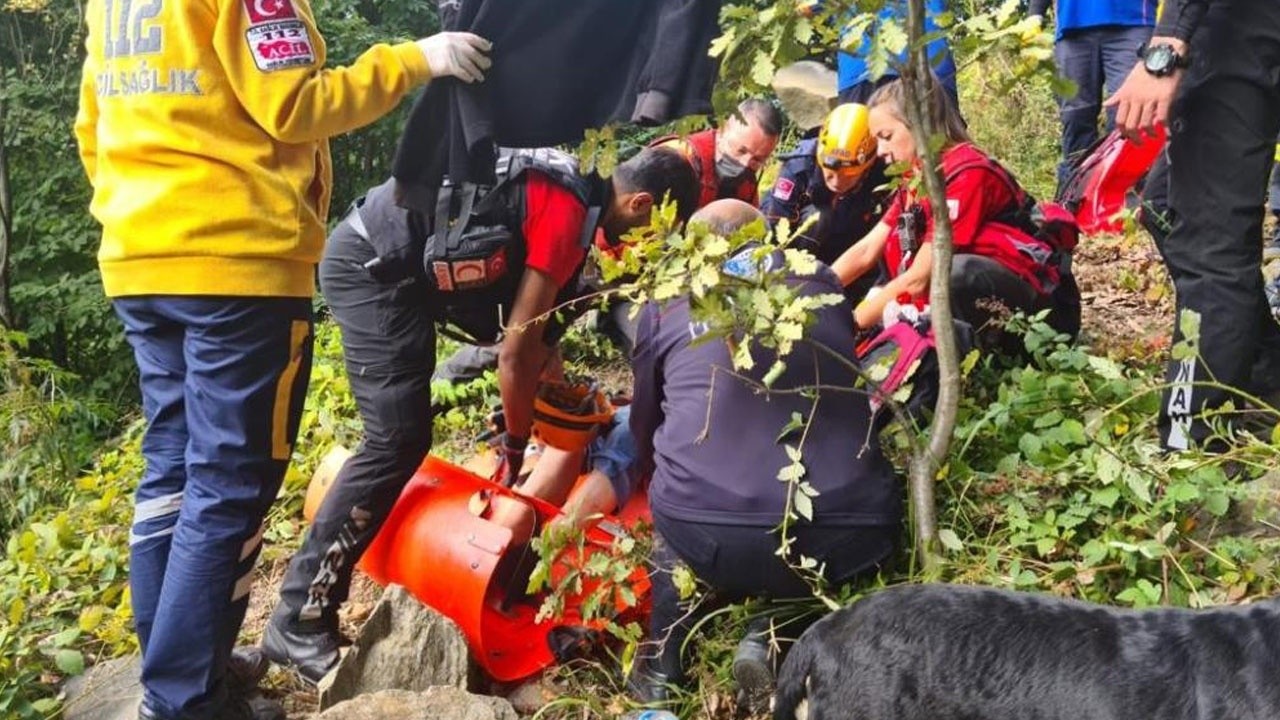 Ormanda kaybolan yaşlı adamın hayatını köpek kurtardı