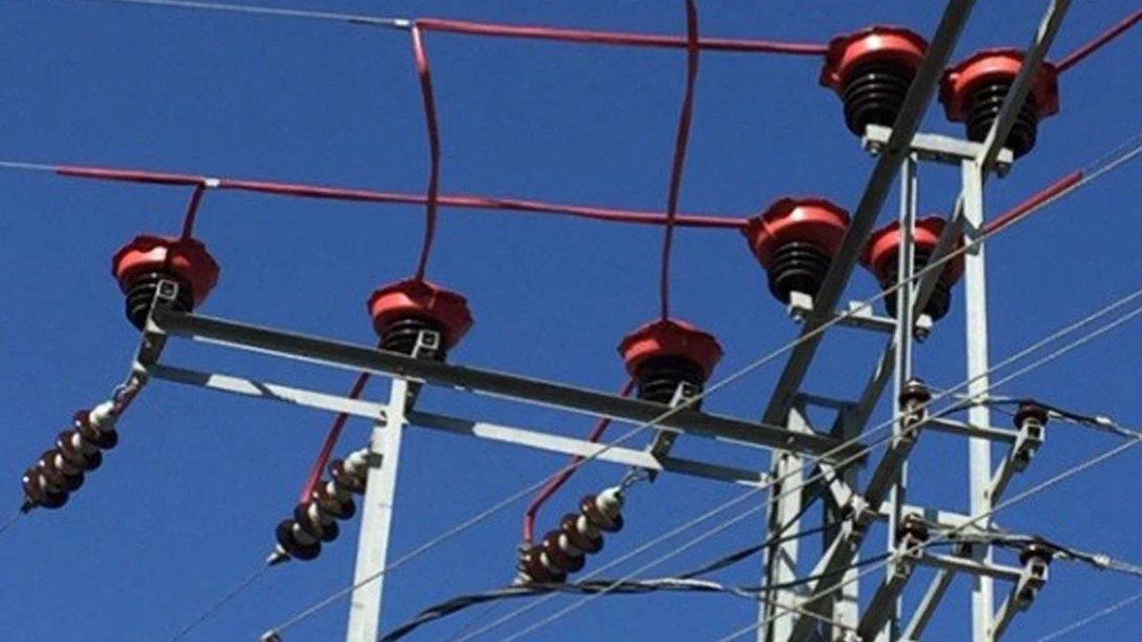 Toroslar EDAŞ'ın yalıtımlı hatlarında kuş çarpılmaları önleniyor