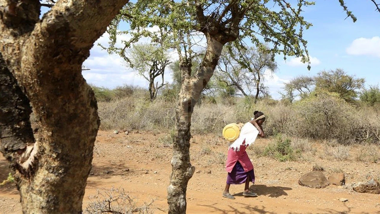 Ulusal felaket ilan edildi! Kenya&#039;da 200 bin kişi günde yalnız bir öğün yiyebiliyor