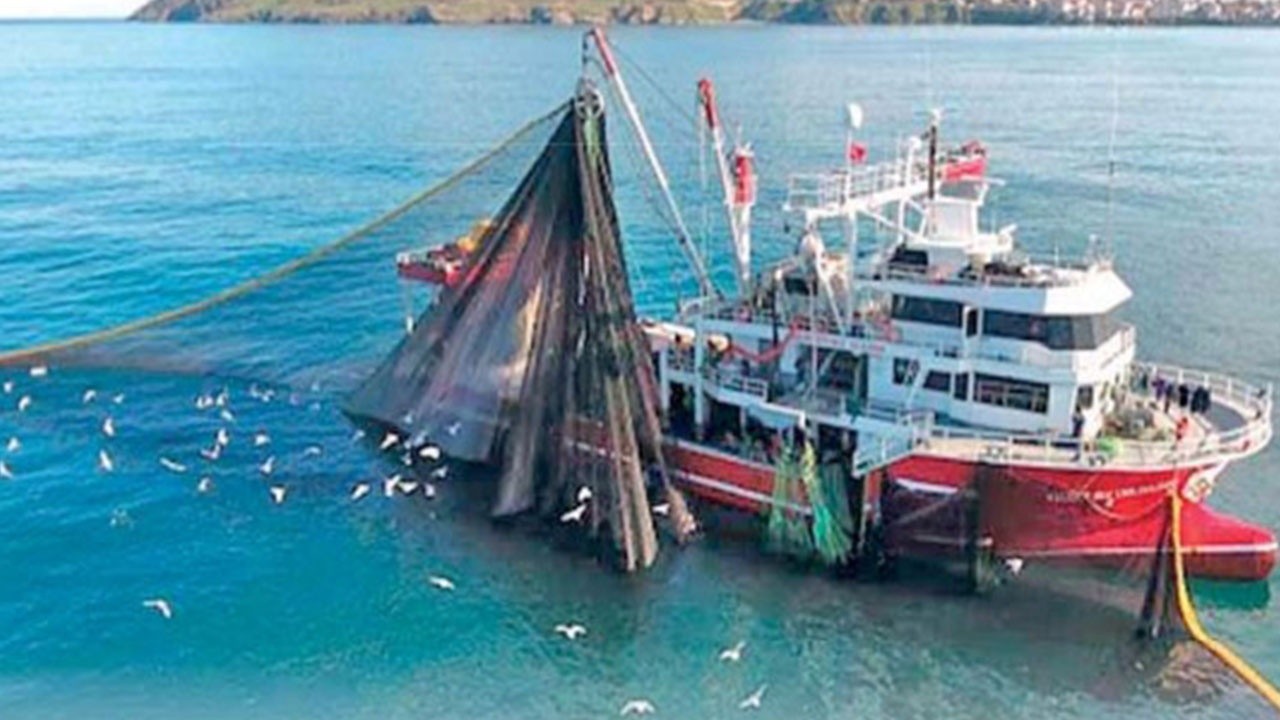 Bakan Murat Kurum&#039;dan müsilaj açıklaması: Tehlikeyi bitirdik balıklar döndü