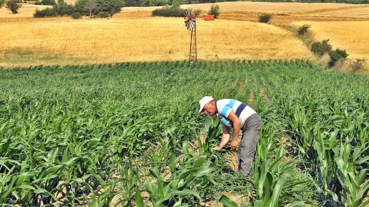 Çiftçinin enflasyonunda artış yüzde 25&#039;e yaklaştı