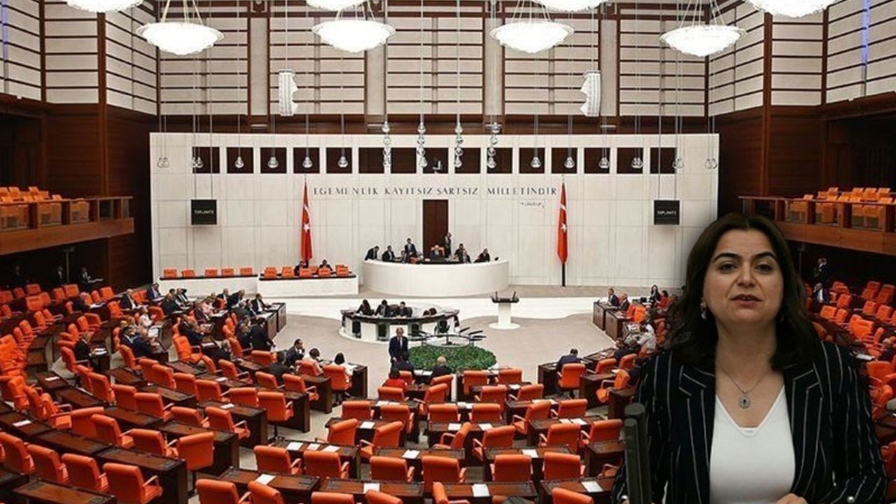 HDP&#039;li milletvekilin işgalcilik suçlamasına meclisten sert tepki