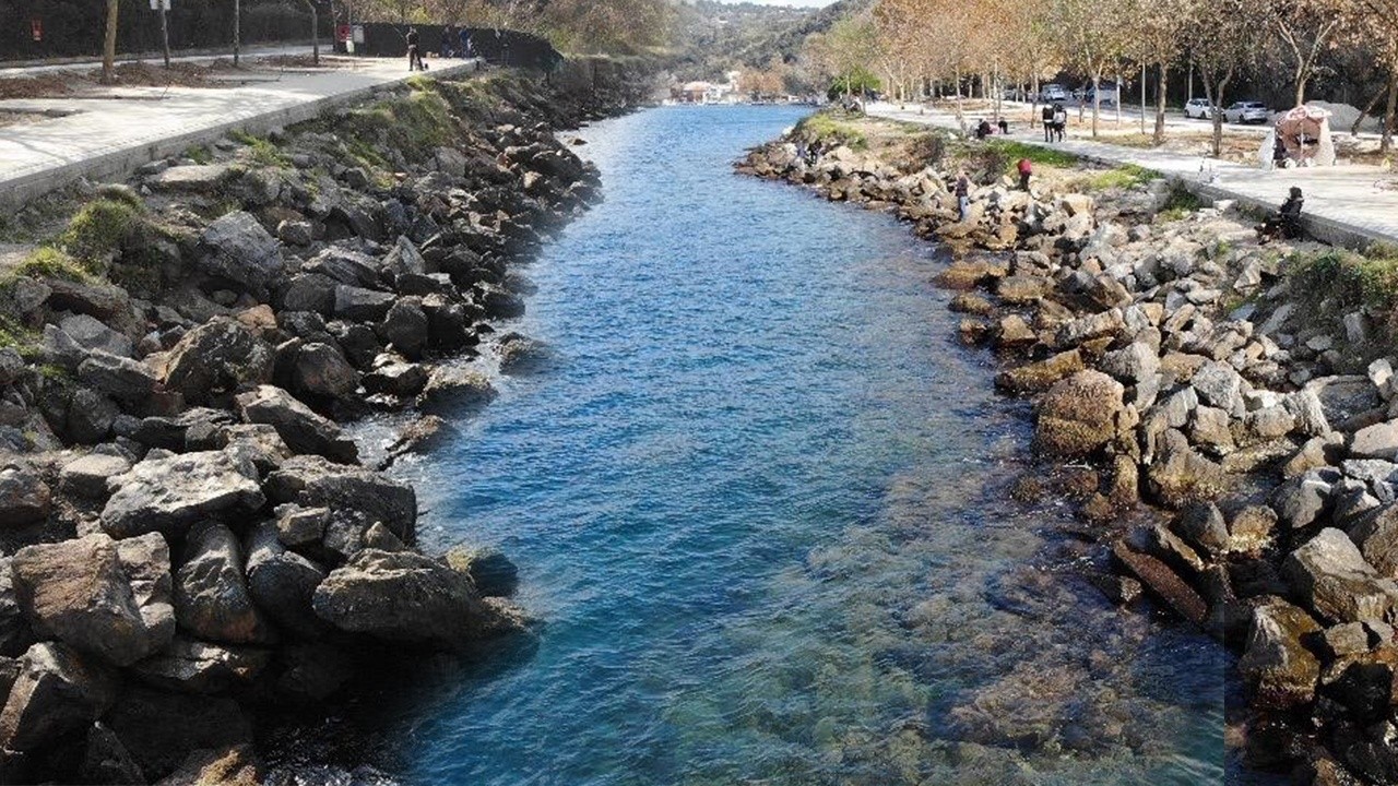 İstanbul&#039;u ayağa kaldıran görüntü: Beykoz&#039;da deniz 80 santimetre çekildi! Depremin habercisi mi?