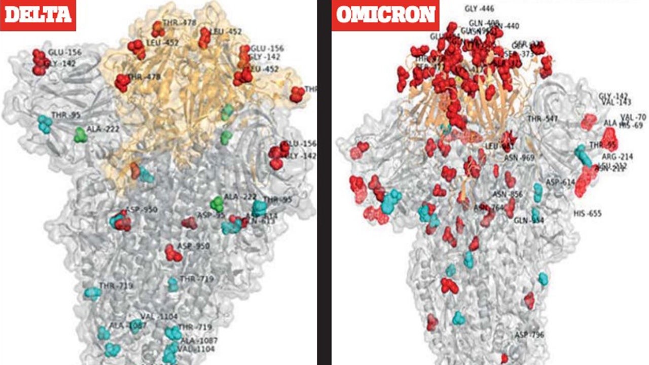 Omicron ve Delta varyantı arasındaki fark: Her kırmızı nokta ayrı bir mutasyon