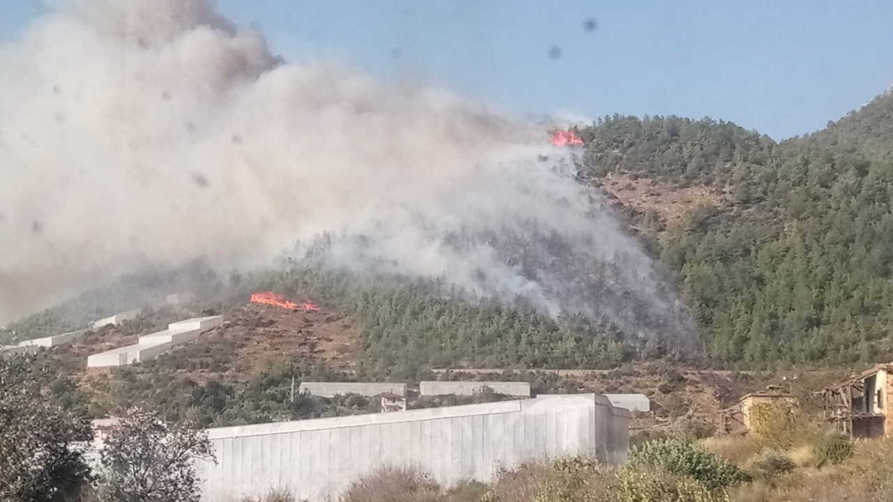 Son dakika! Mersin&#039;de orman yangını: Havadan ve karadan müdahale sürüyor