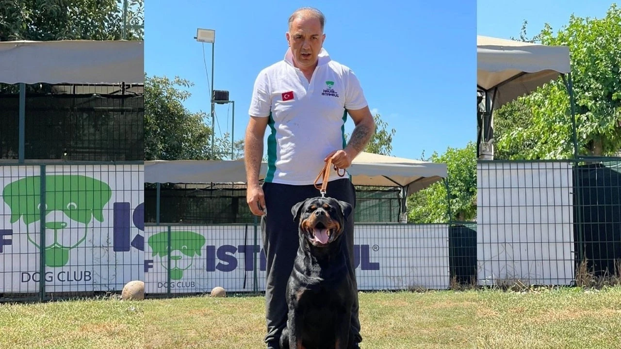 Yenilikçi köpek eğitim merkezi: Hause of İstanbul