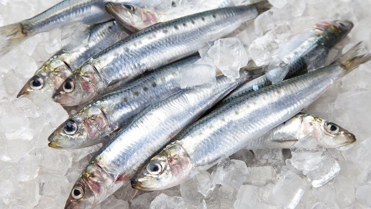 Balığın faydaları nedir, neden balık tüketilmeli? Balık yemenin göze, cilde, saça ve kalbe yararları...
