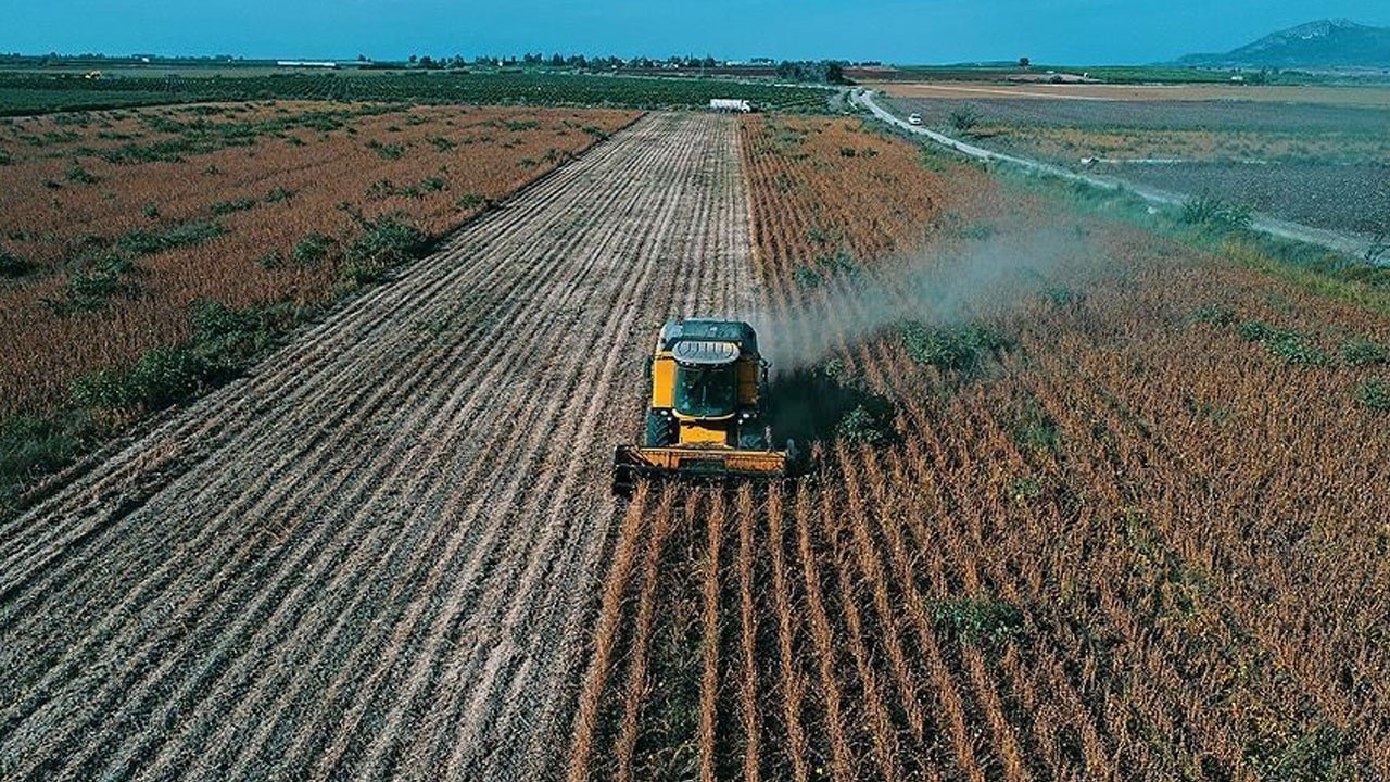 Çiftçiye müjde: Yem ve gübre ucuzladı