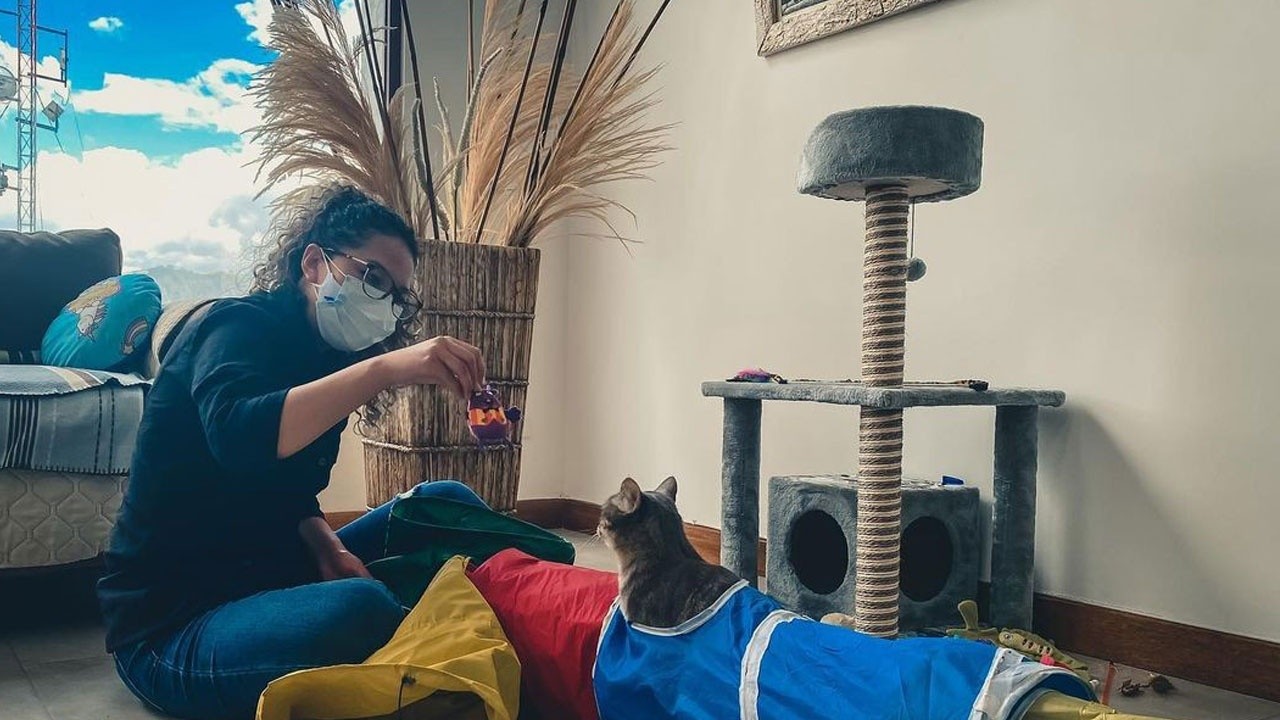 Ekvador’da ilk kez kedi okulu açıldı