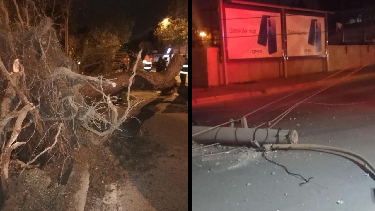 Fırtına İzmir&#039;i fena vurdu: Elektrik direklerini devirdi, ağaçları kökünden söktü