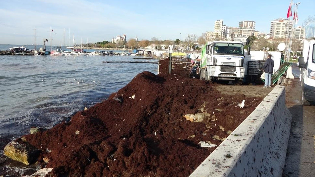 İstanbul&#039;da ürküten manzara: Caddebostan sahili kırmızıya büründü