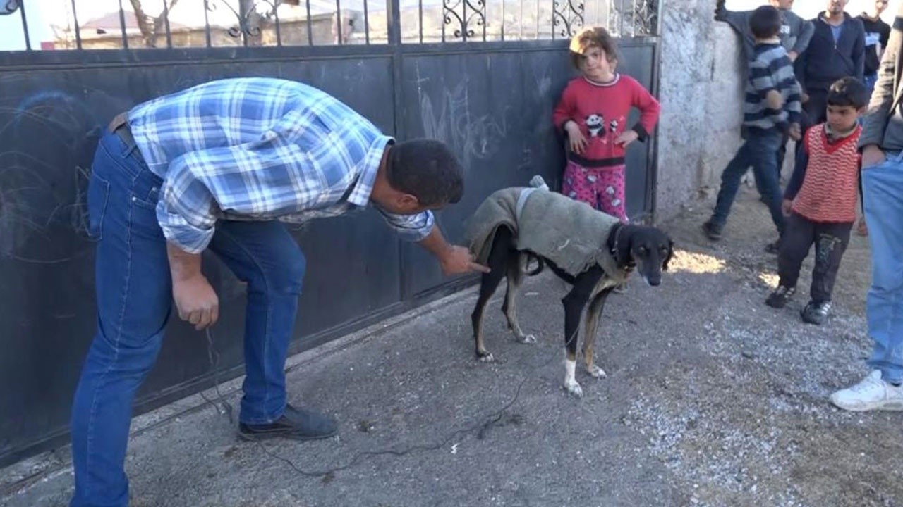 Köpek yumurtaları yedi, tüfek, taş ve sopalar konuştu: 3 yaralı