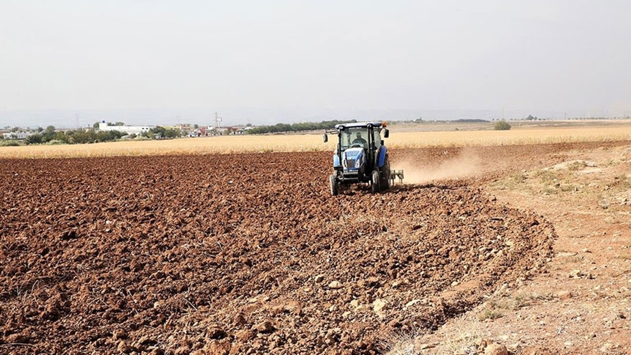 Tarım sezonunda yağışlar azaldı: Orta ve Güneydoğu Anadolu’da durum kritik